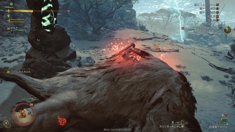 Monster Hunter Wilds Beta test_20241029221434