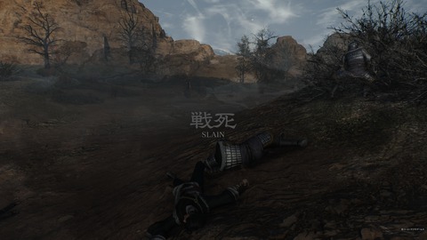 真・三國無双 ORIGINS 体験版_20241122083423