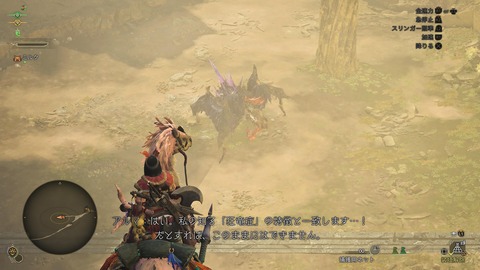 Monster Hunter Wilds_20250314222823