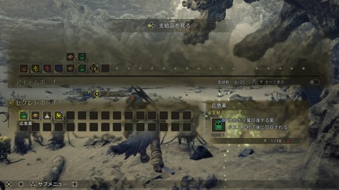 Monster Hunter Wilds Beta test_20241029215159