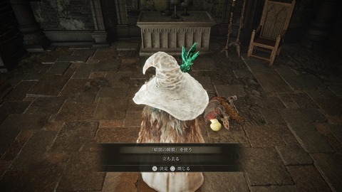 ELDEN RING_20240628220249