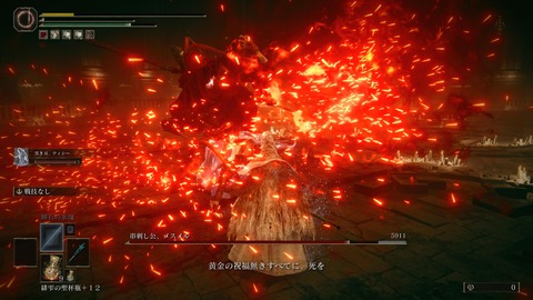 ELDEN RING_20240629231308