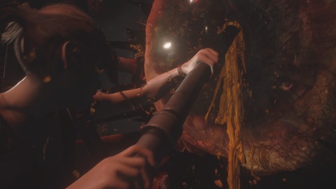 BIOHAZARD RE_2 Z Version_20190131235328