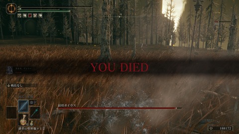 ELDEN RING_20240628230300