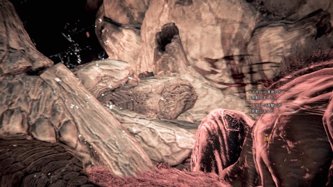 Monster Hunter Wilds_20250528222454