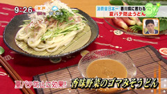 香川・愛媛せとうち旬彩館 【香味野菜のゴマみそうどん】