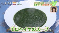 ネフェルティティ東京 西麻布店 【モロヘイヤのスープ】