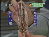 殻の平たい方にヘラを入れ・・・