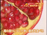 種の周りについた赤い粒状の果肉を味わうザクロ