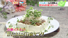 酢たまねぎ豆腐サラダ