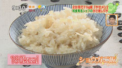 分とく山 野洋光さん 【生姜御飯】