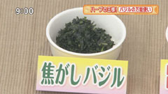 ナイルレストラン 【焦がしバジル】