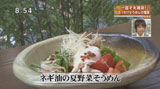 葱屋福 【夏野菜そうめん】