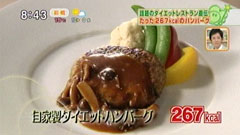 ¼«²ÈÀ½¥À¥¤¥¨¥Ã¥È¥Ï¥ó¥Ð¡¼¥°¡Ê1¿ÍÁ°267kcal¡Ë