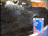 神楽坂 石かわ 【食べる海苔酢】