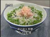 賛否両論 【しらす丼】