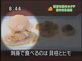 刺身で食べるのは、貝柱とヒモです
