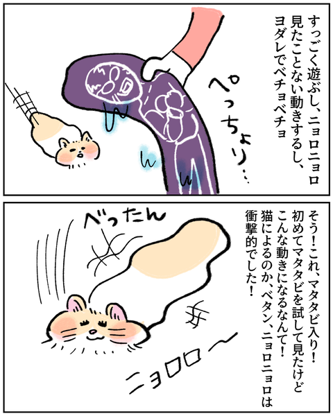 IMG_7419