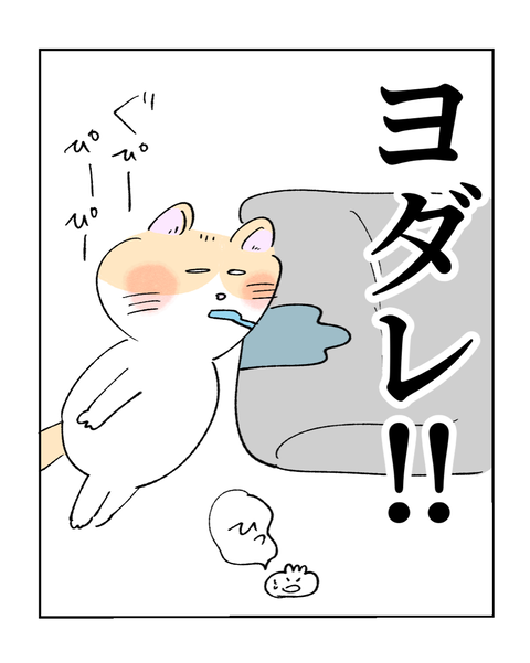 IMG_4492