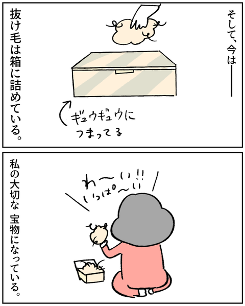 IMG_8735