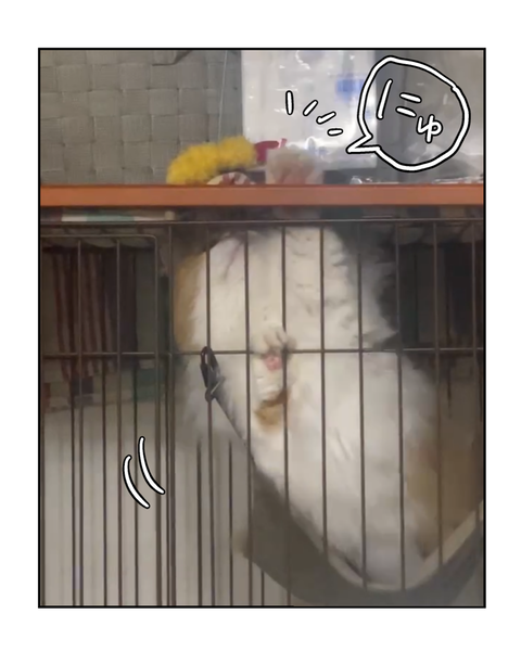 IMG_4388