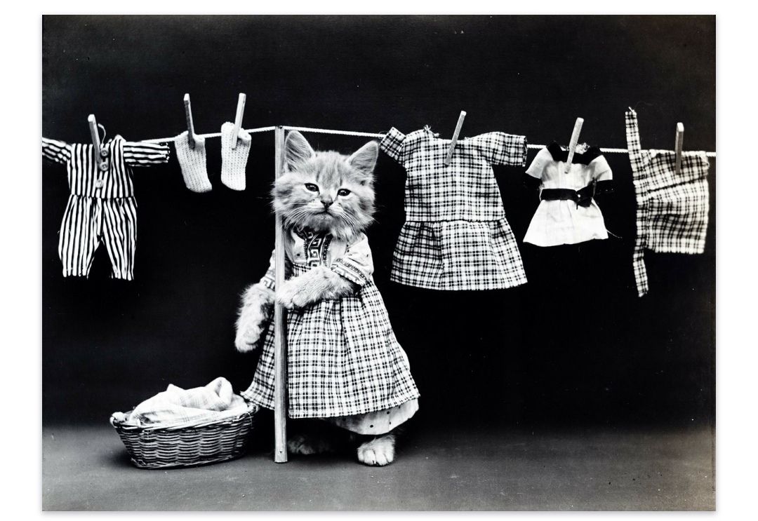 グループでパーソナルカラー診断 クローゼットには白 黒 ネイビーが多いのですが 新たに似合う色があるとわかって嬉しいです O 東京都内 銀座 パーソナルカラー診断 顔タイプ診断 骨格診断 メイクレッスン 豊洲 千葉 埼玉から好アクセス