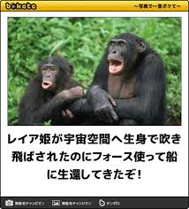 ダウンロード