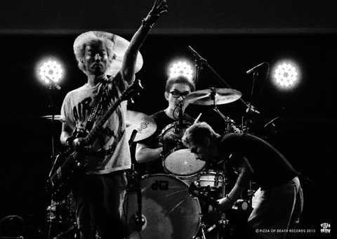 histandard2013dvdposter