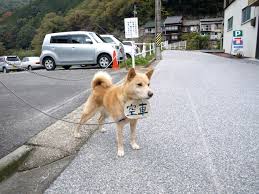 ダウンロード (4)