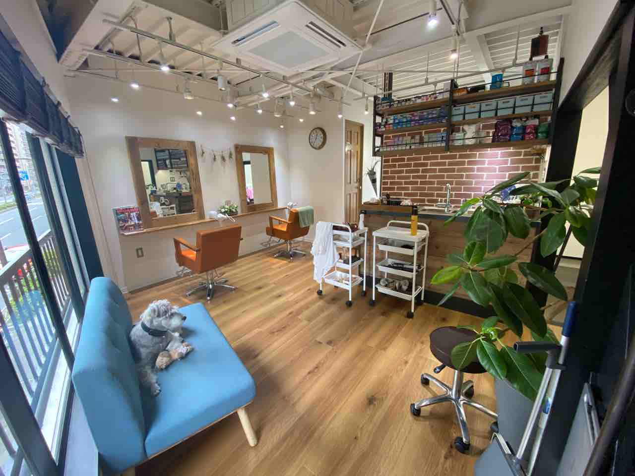 北千住人気美容室kii移転オープンおめでとうございます 北千住cobacoからのbeauty Guidance 北千住 でヘアセット ヘアメイクのご相談はお気軽に 北千住人気美容室kii移転オープンおめでとうございます 北千住cobacoからのbeauty Guidance 北千住 でヘアセット ヘアメイクのご相談はお気軽に