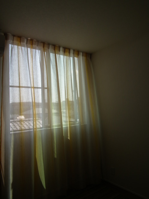 DSCF6799