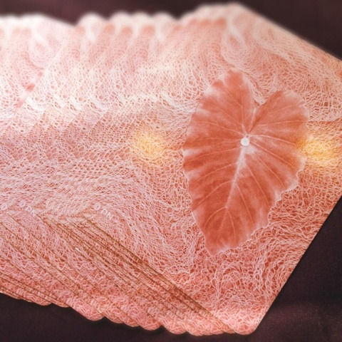 {0D8A0C04-C602-4BB2-9D65-B106F8D5FB27:01}