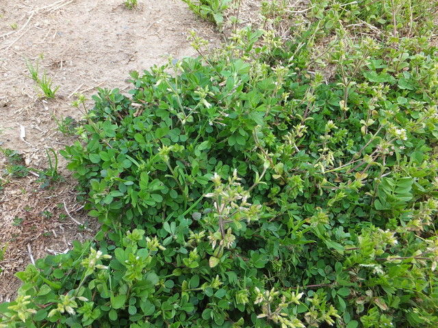 DSCF9941.jpg