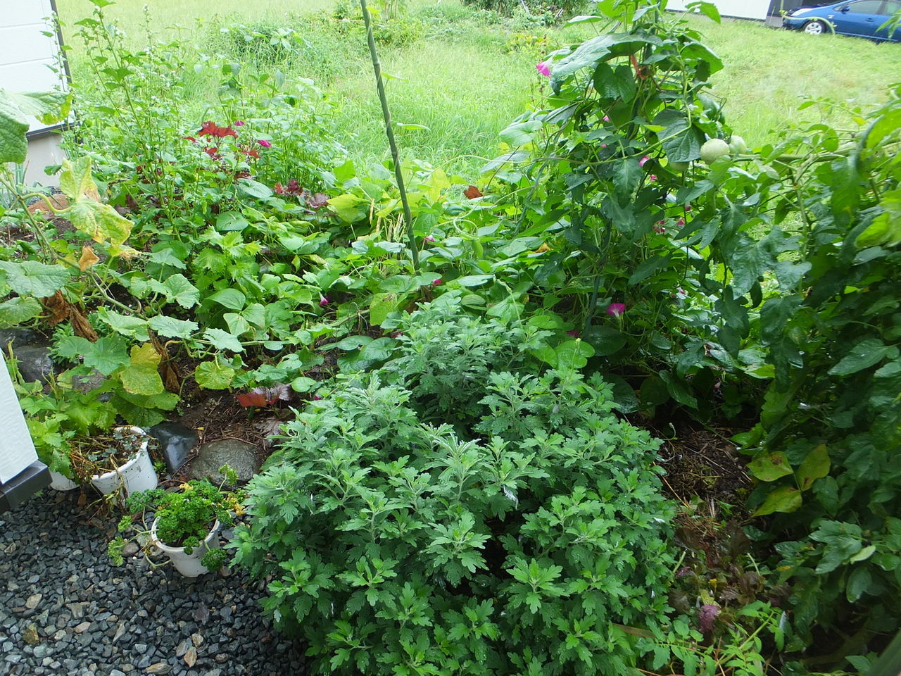 DSCF1316.jpg