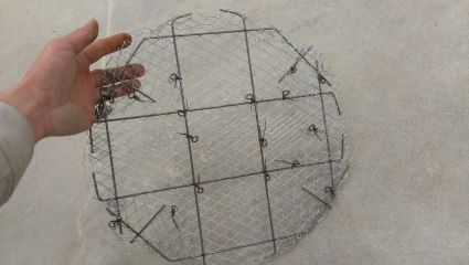 IMAG0593.jpg