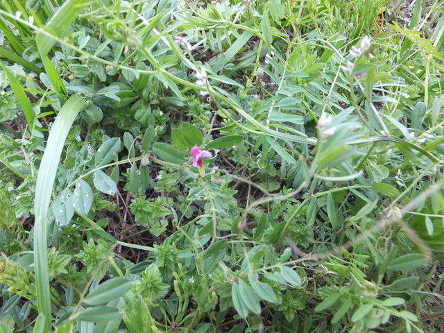 DSCF9942.jpg