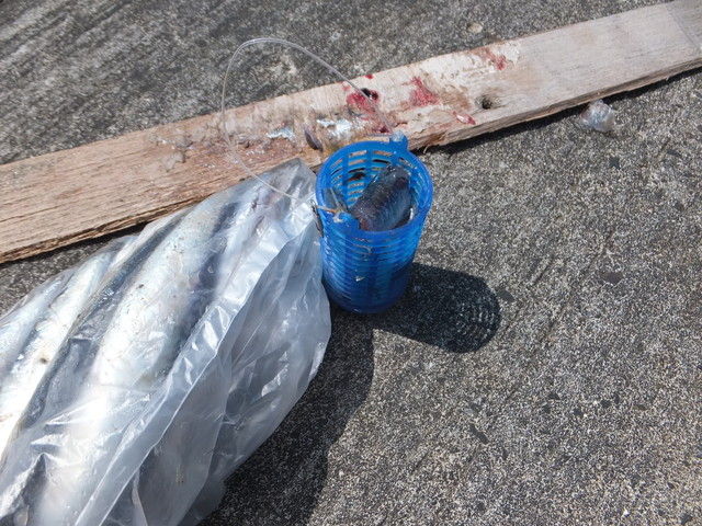 DSCF9927.jpg