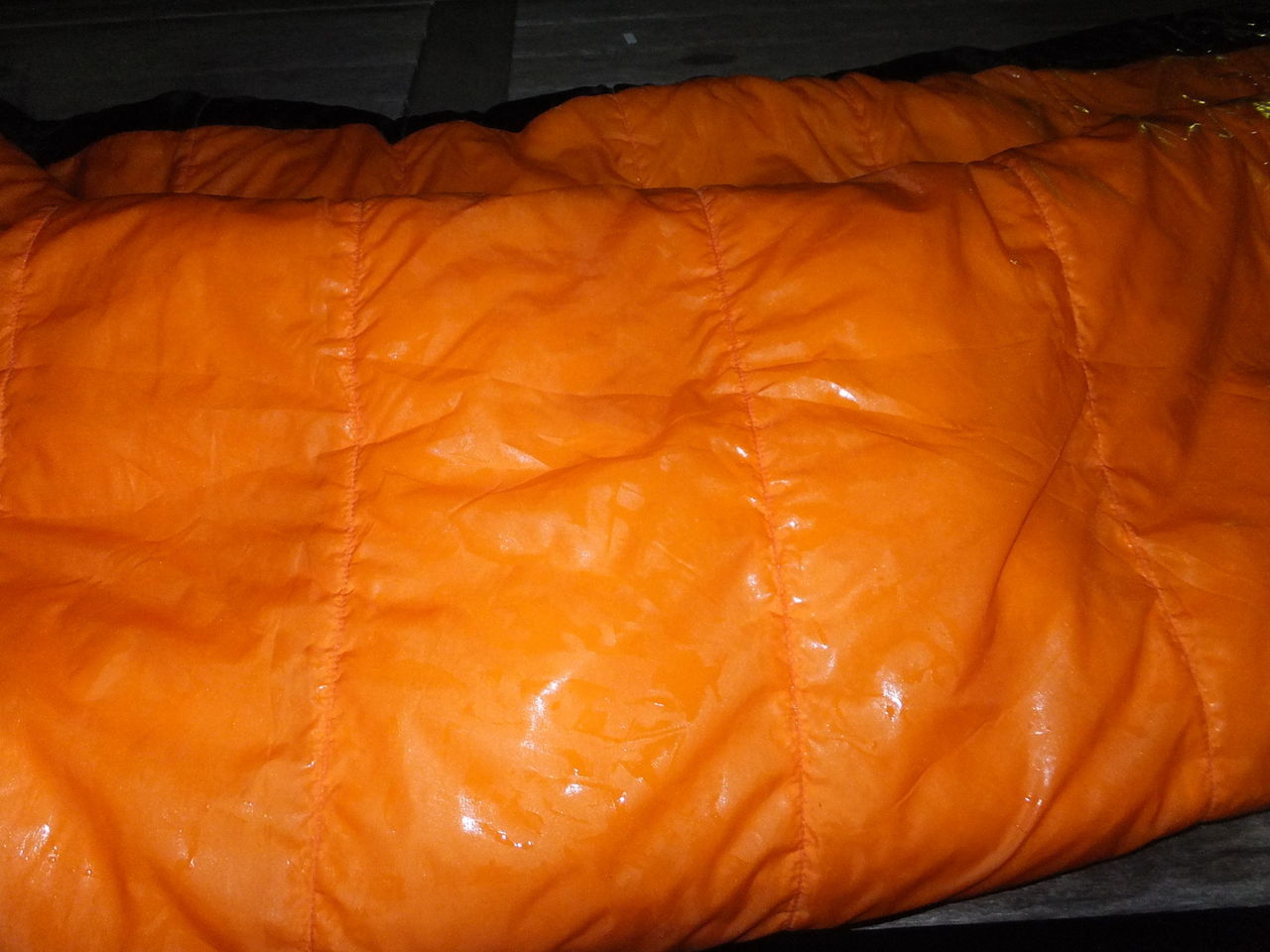 DSCF2088.jpg