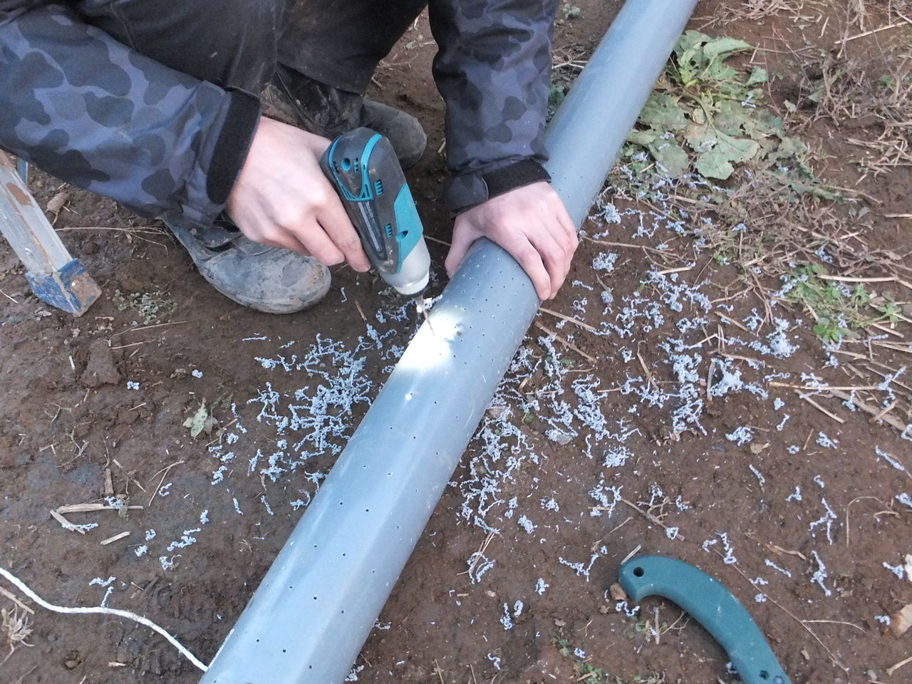 DSCF2106.jpg