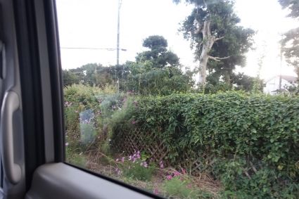 20170930162349.jpg