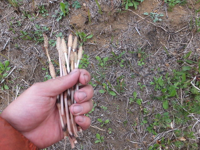 DSCF9940.jpg