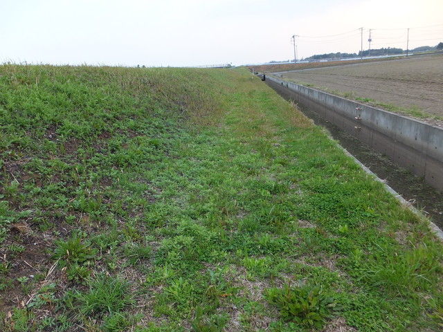 DSCF9938.jpg