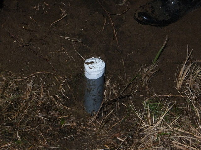 DSCF8889.jpg