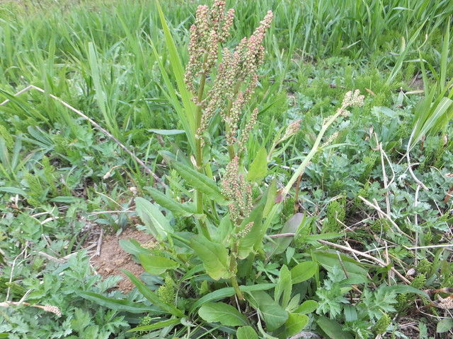 DSCF9936.jpg