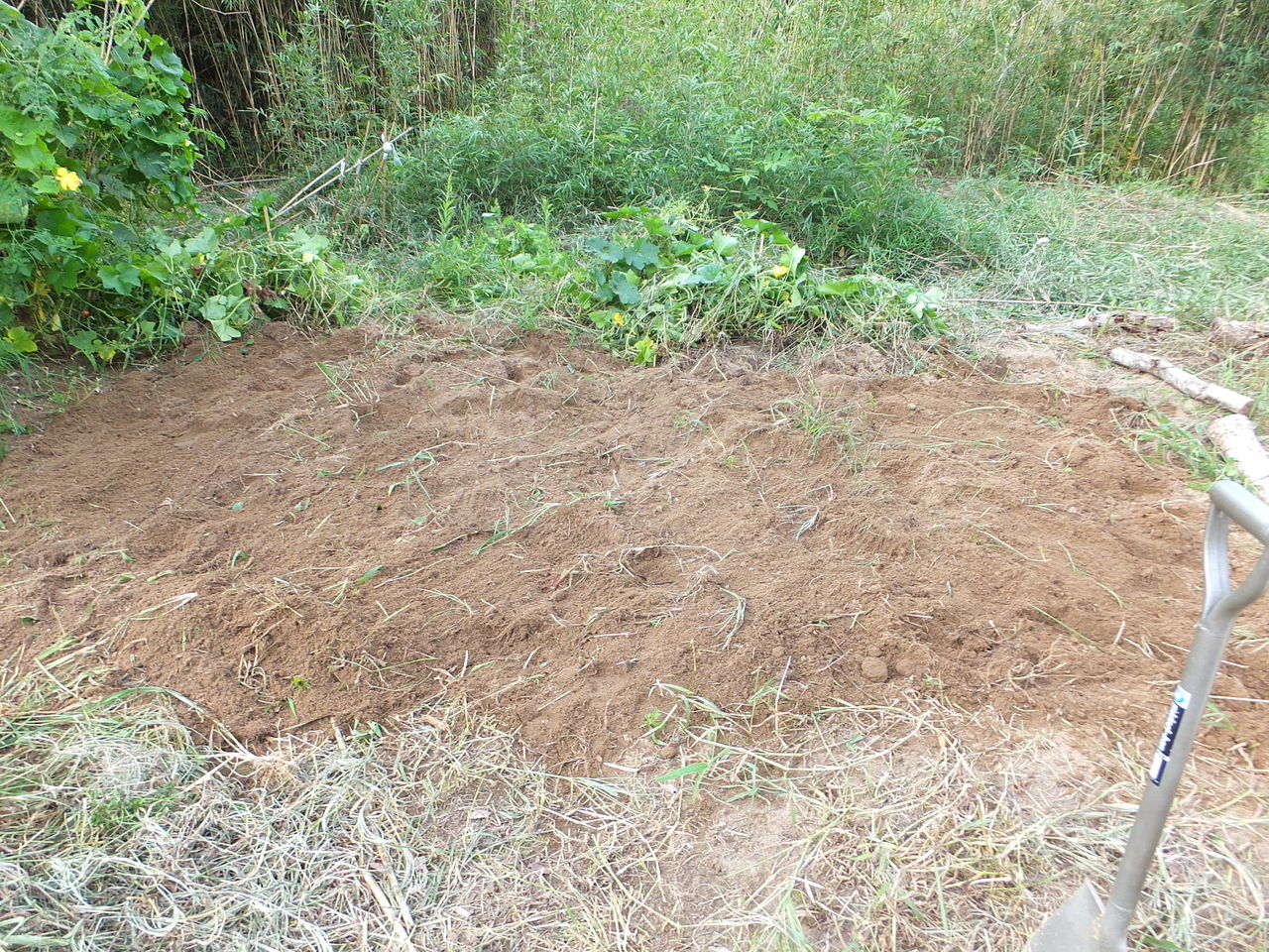DSCF1503.jpg