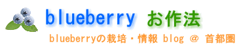 blueberry お作法