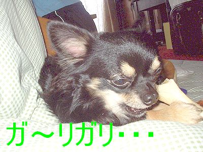 �����ꥬ��