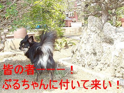オレに続けーーー!!!