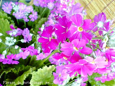 Please do not forget me