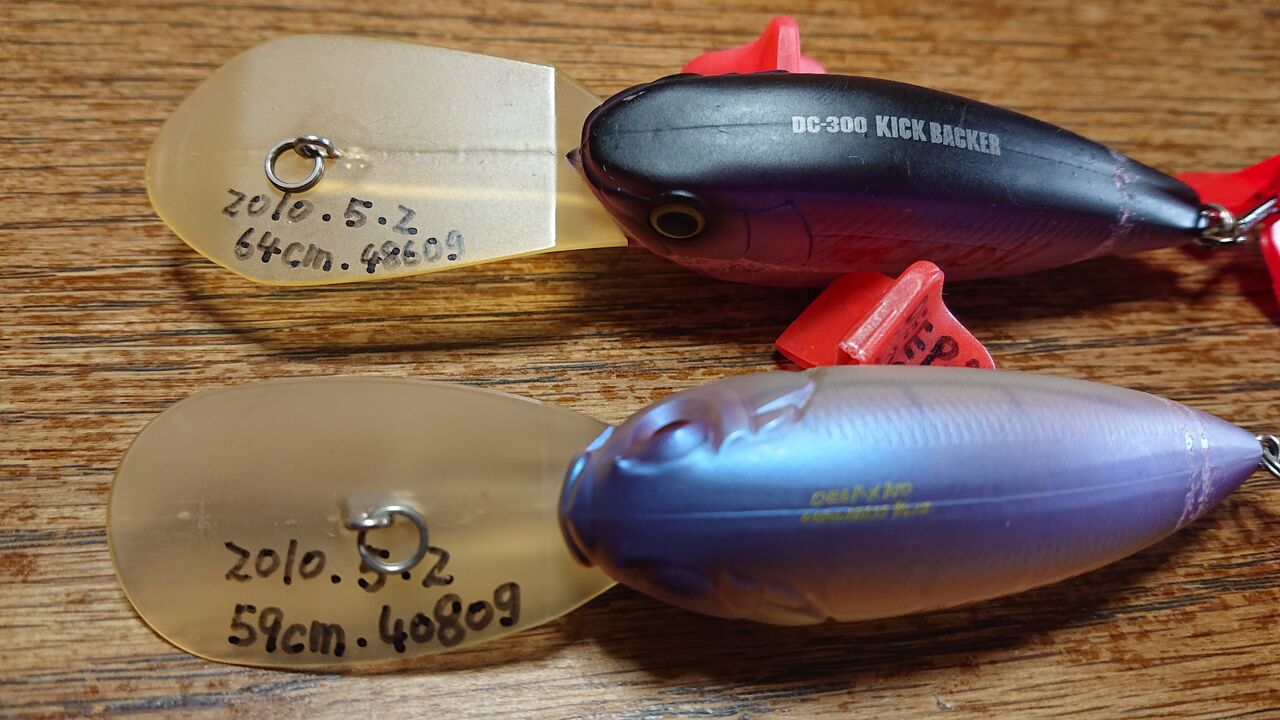 もひとつオ マ ケ パープルの破壊力 Bassと女は追うな 必ず置いてきぼりを食う